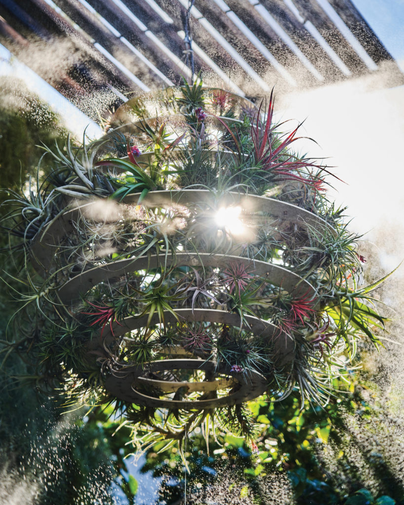 Lantern by Airplantman Josh Rosen