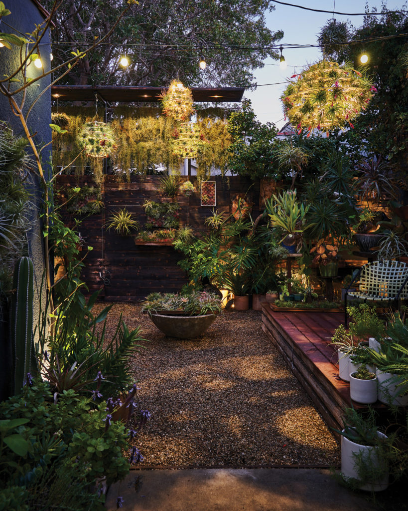 Airplantman Josh Rosen air plant/Tillandsia courtyard