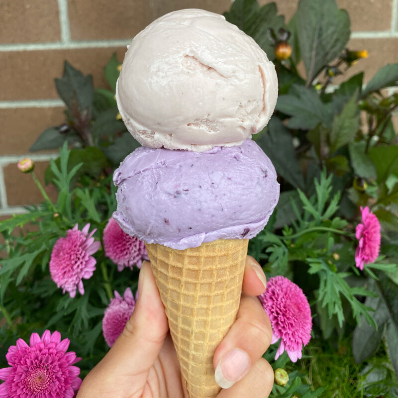 Alaska: Wild Scoops Cone