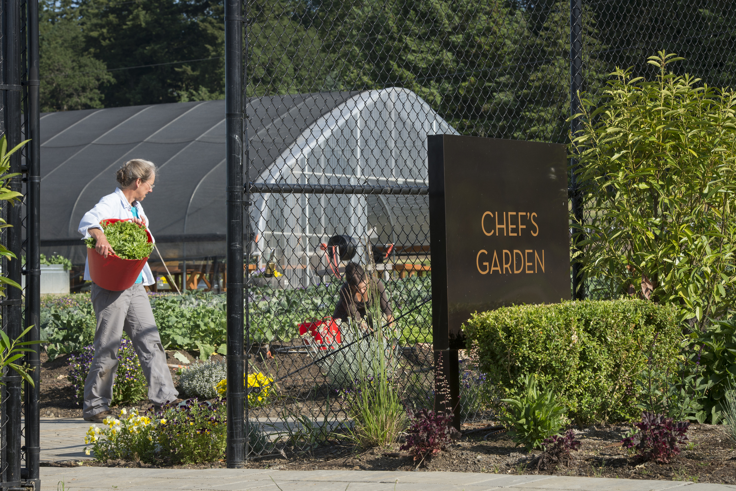 chefs-garden-allison-inn-spa-willamette-valley-oregon