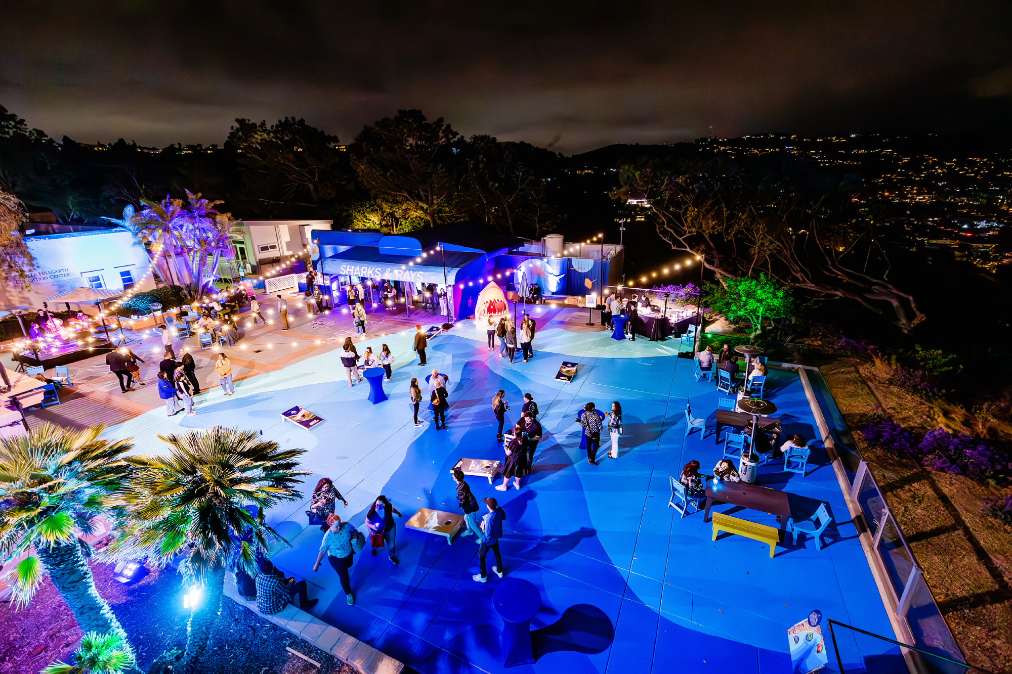 a-glowing-aerial-view-of-birch-aquariums-oceans-at-night-event