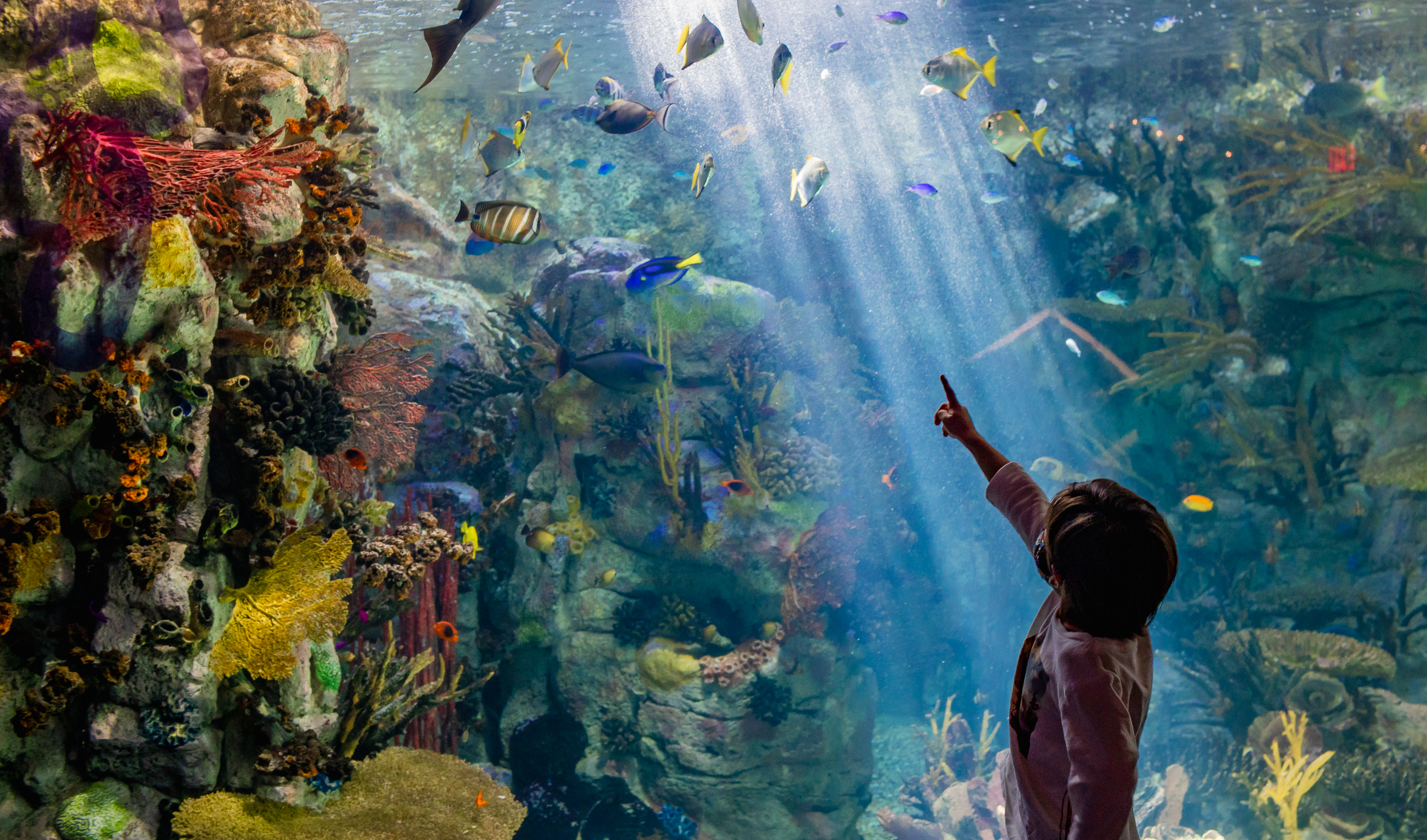 bas_october2021-209-2