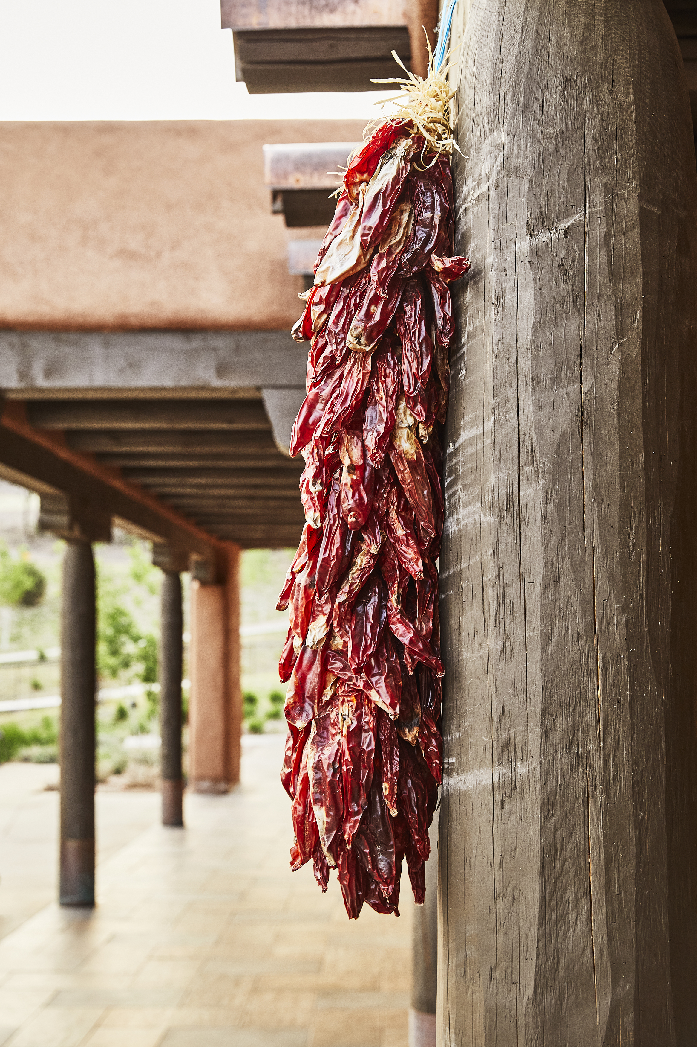 bl_exteriors_scenics_2022_052a8174-r1