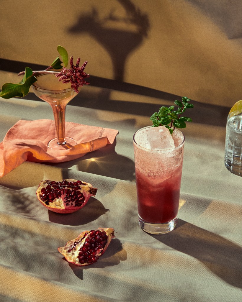 Botanical Spirits Are Getting Better—That Means Nonalcoholic Cocktails Are, Too