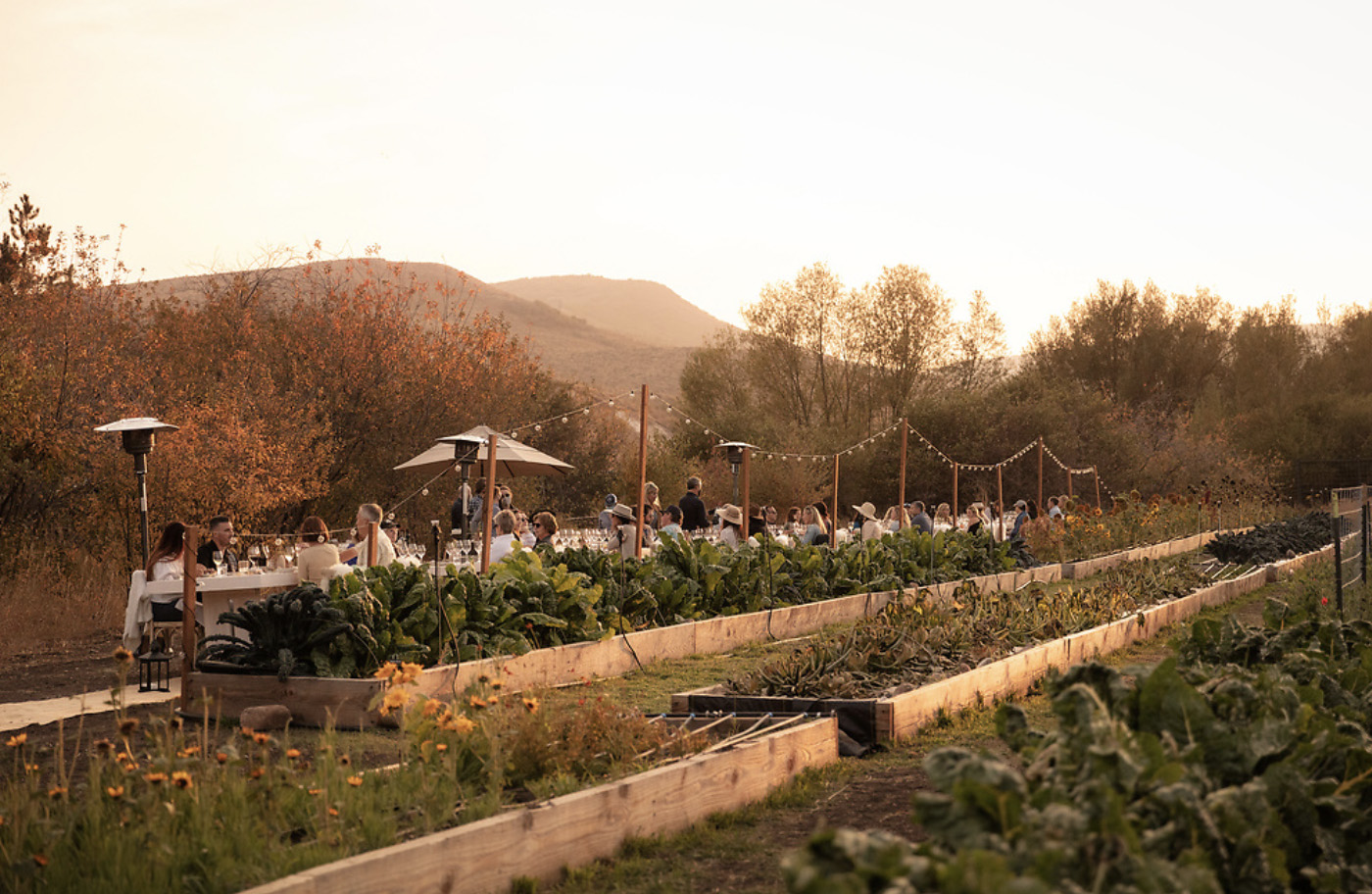 bsk_experience_gracies-farm_2021_001
