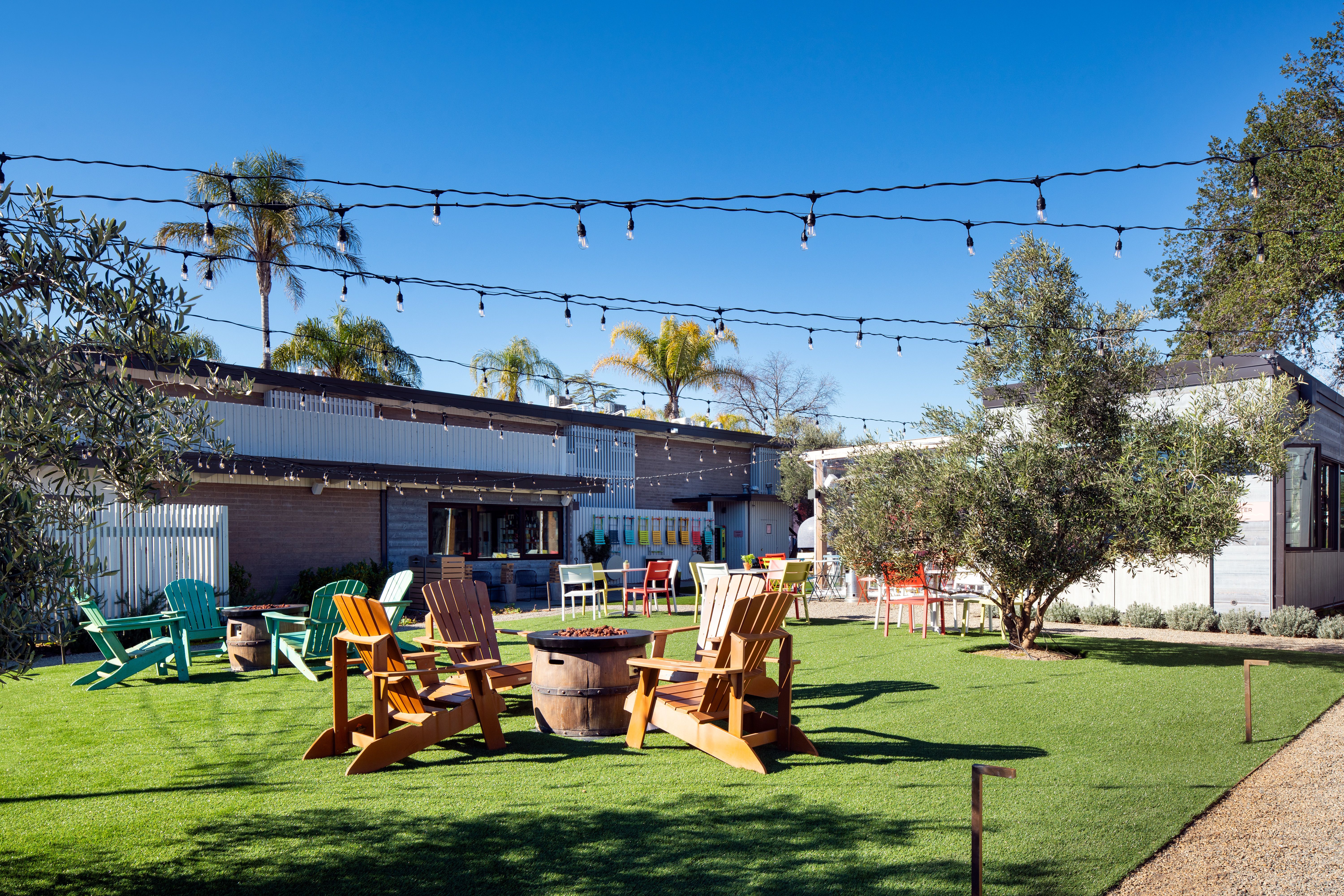 backyard-daytime