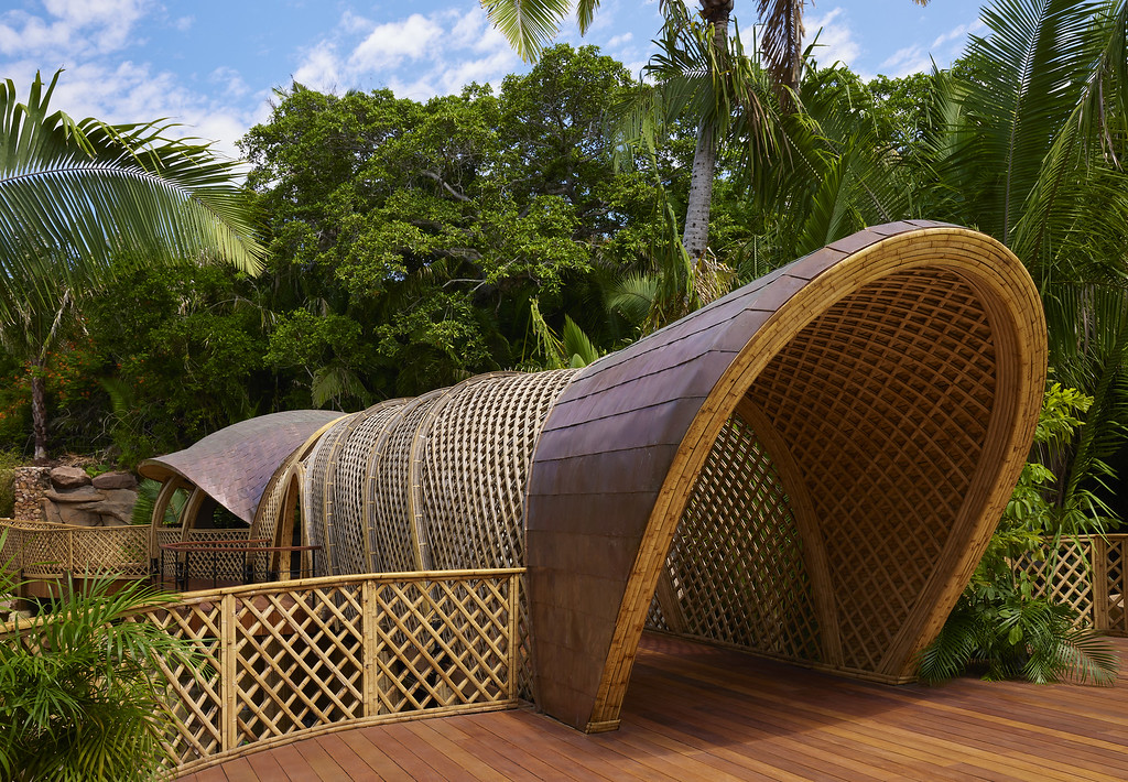 bamboo-bridge-arrival