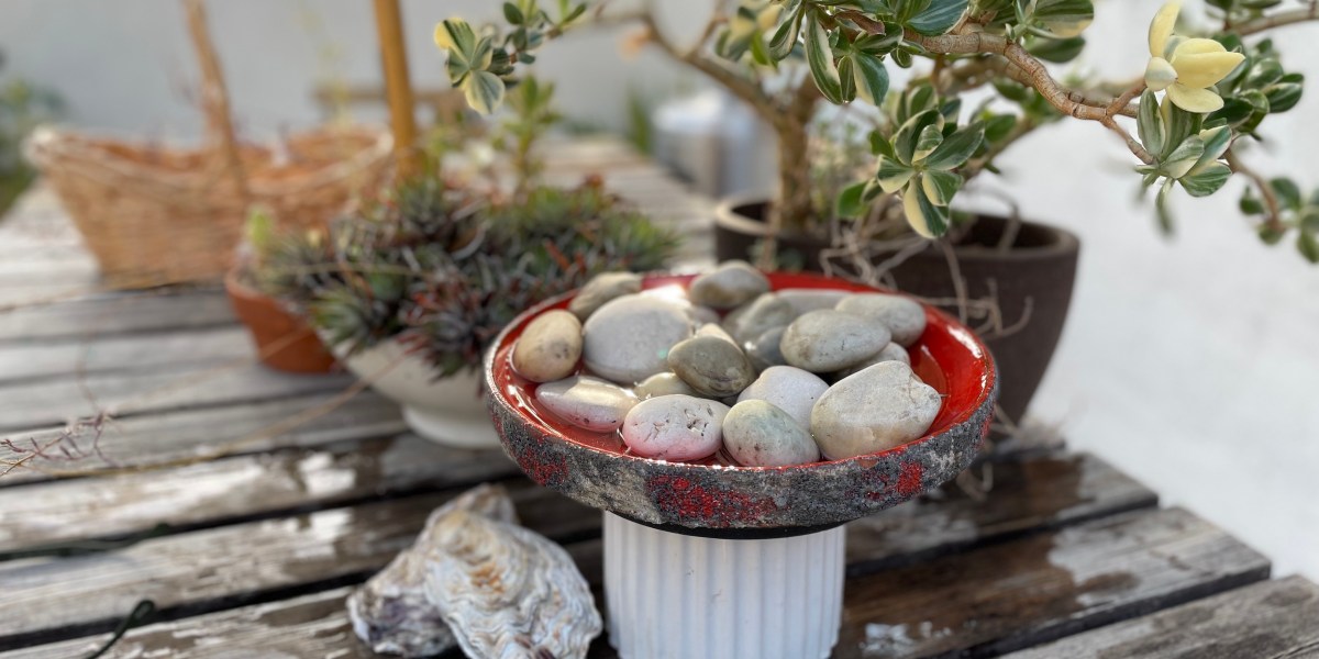 Bee and Butterfly Watering Station