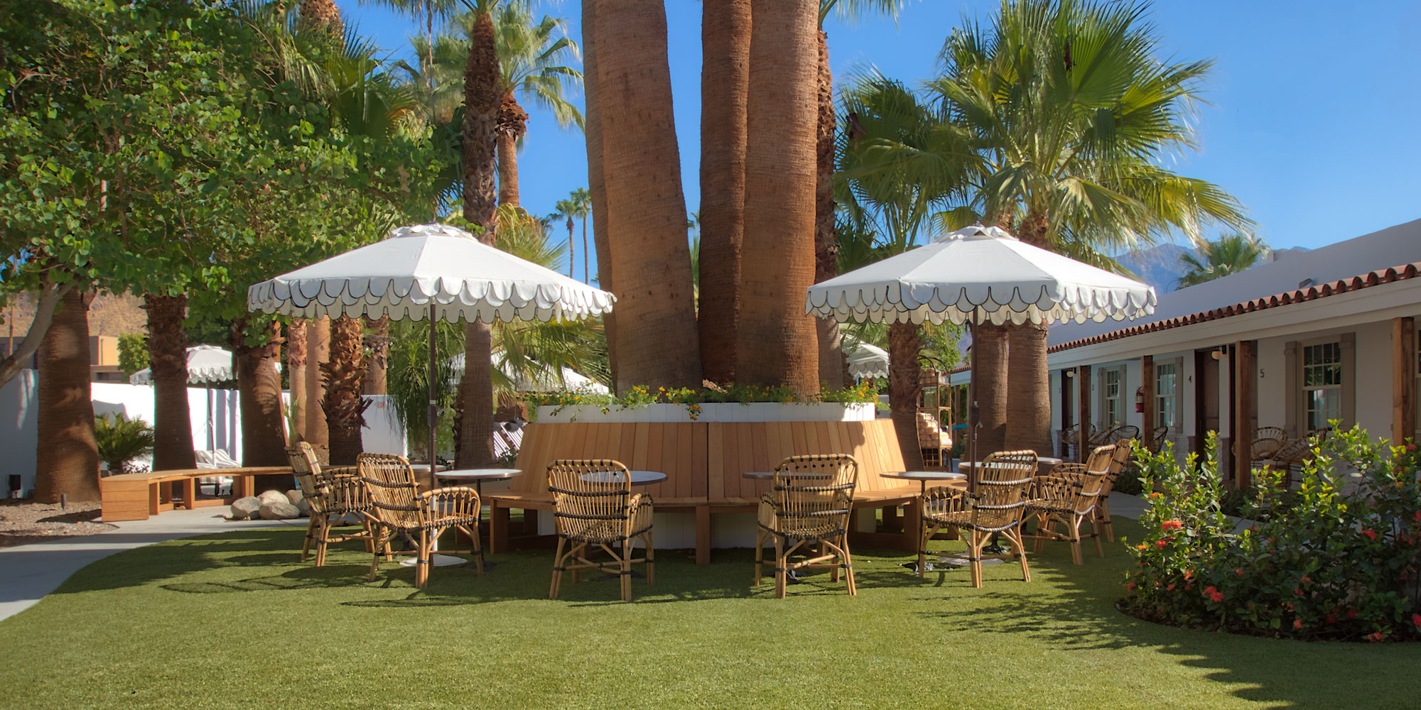 bench-surrounding-palm-trees-in-garden-at-dive-palm-springs-hotel