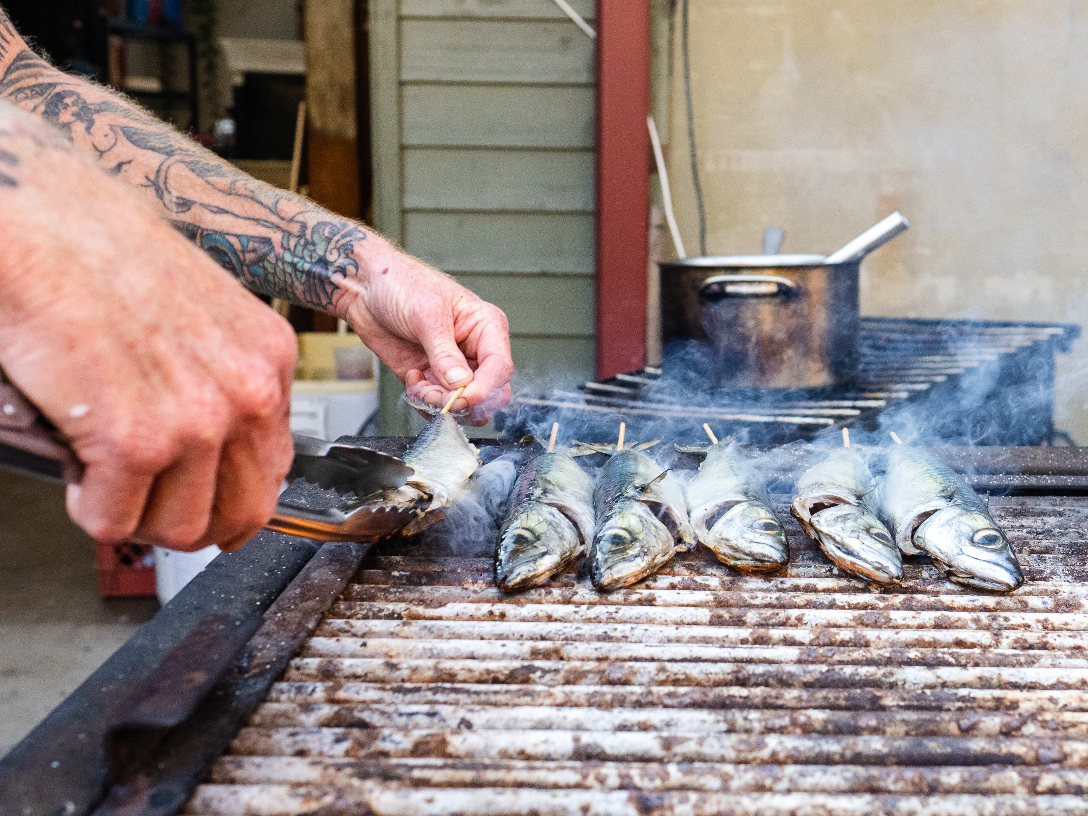 fish-on-sticks