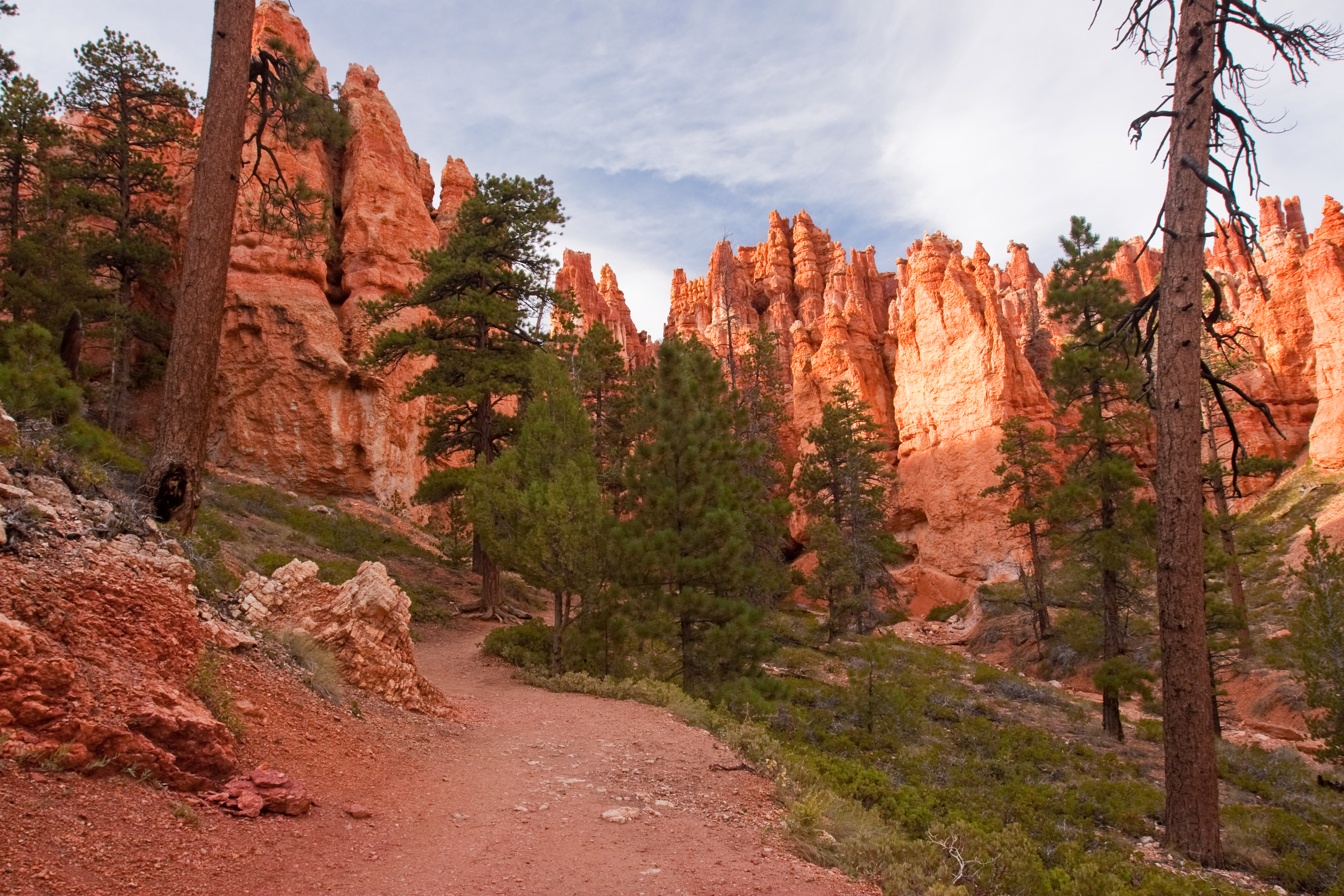 bryce-canyon-np_matt-morgan