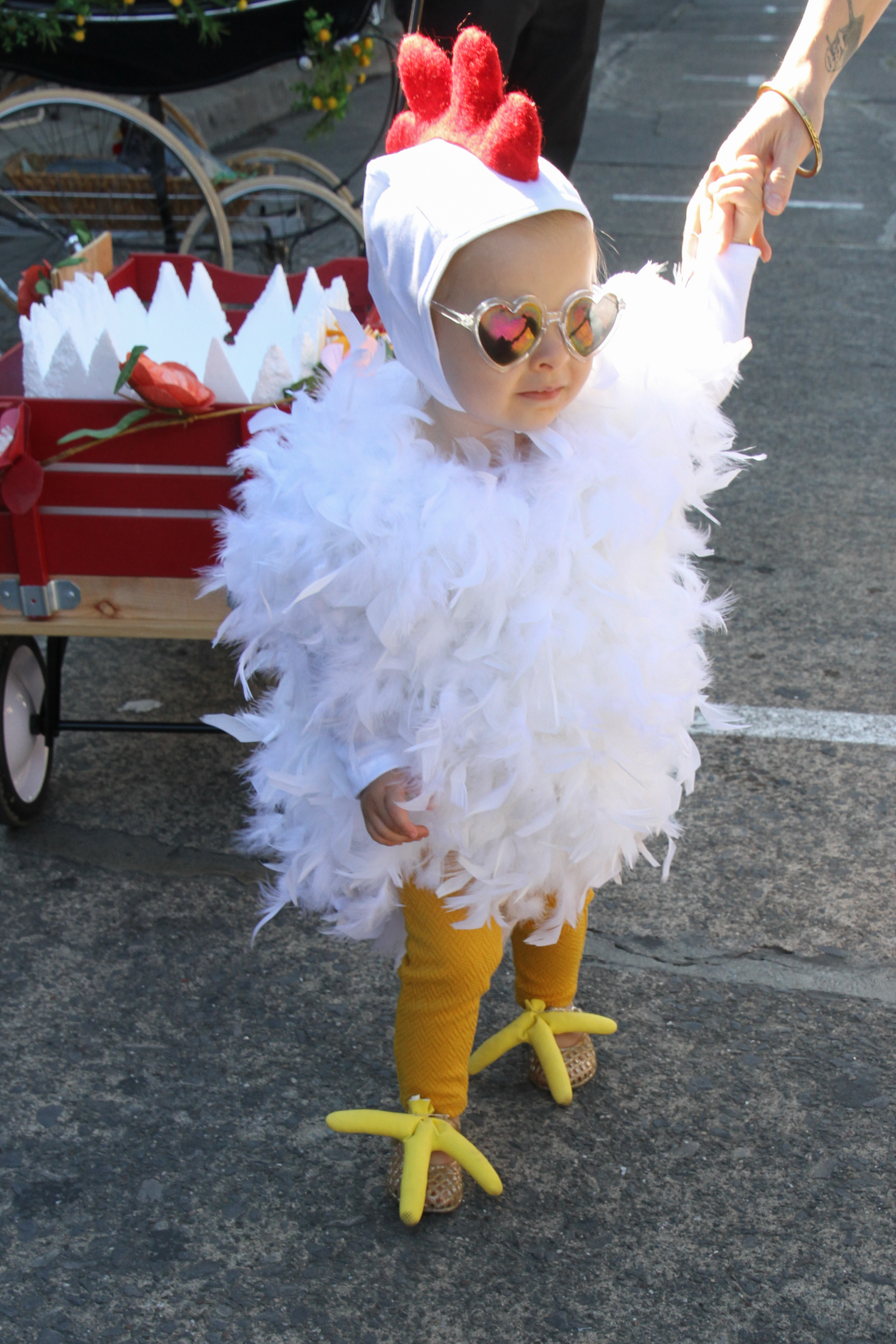 cutest-little-chick