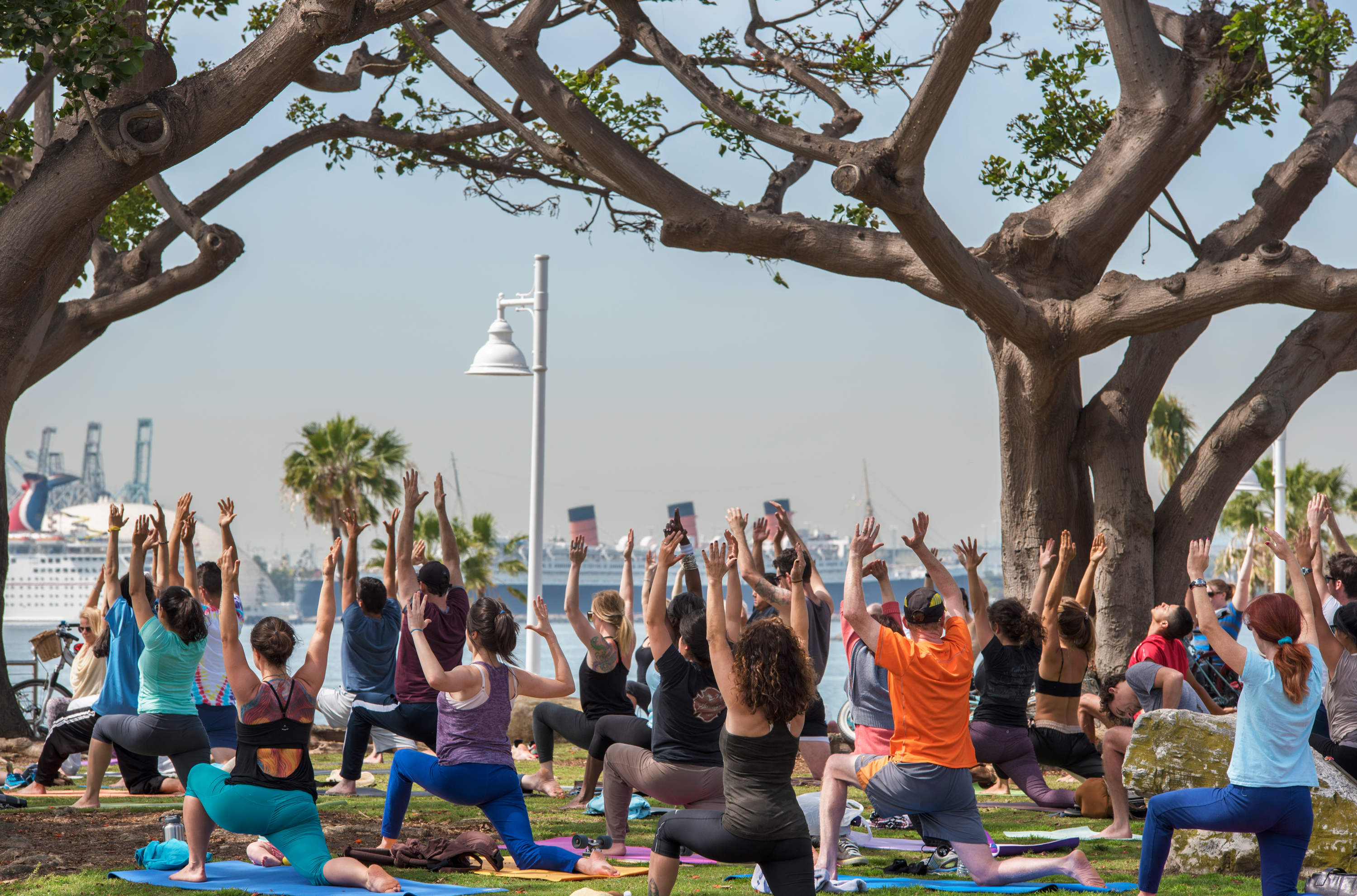 free-daily-yoga-sessions-take-place-in-long-beachs-bluff-park-overlooking-the-ocean