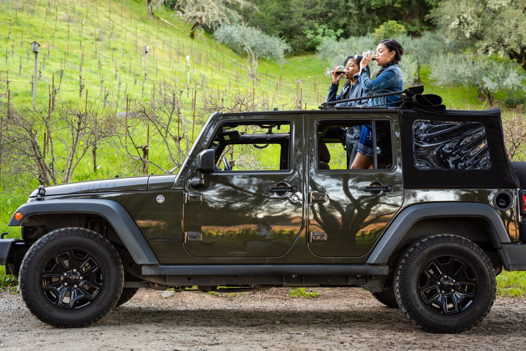 c53619d4-70bf-4650-b681-df99e2d3fbb6