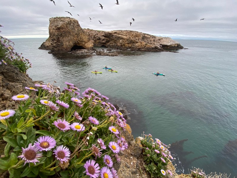 Sea Cave Kayaking at Channel Islands National Park – Channel Islands Adventure Company