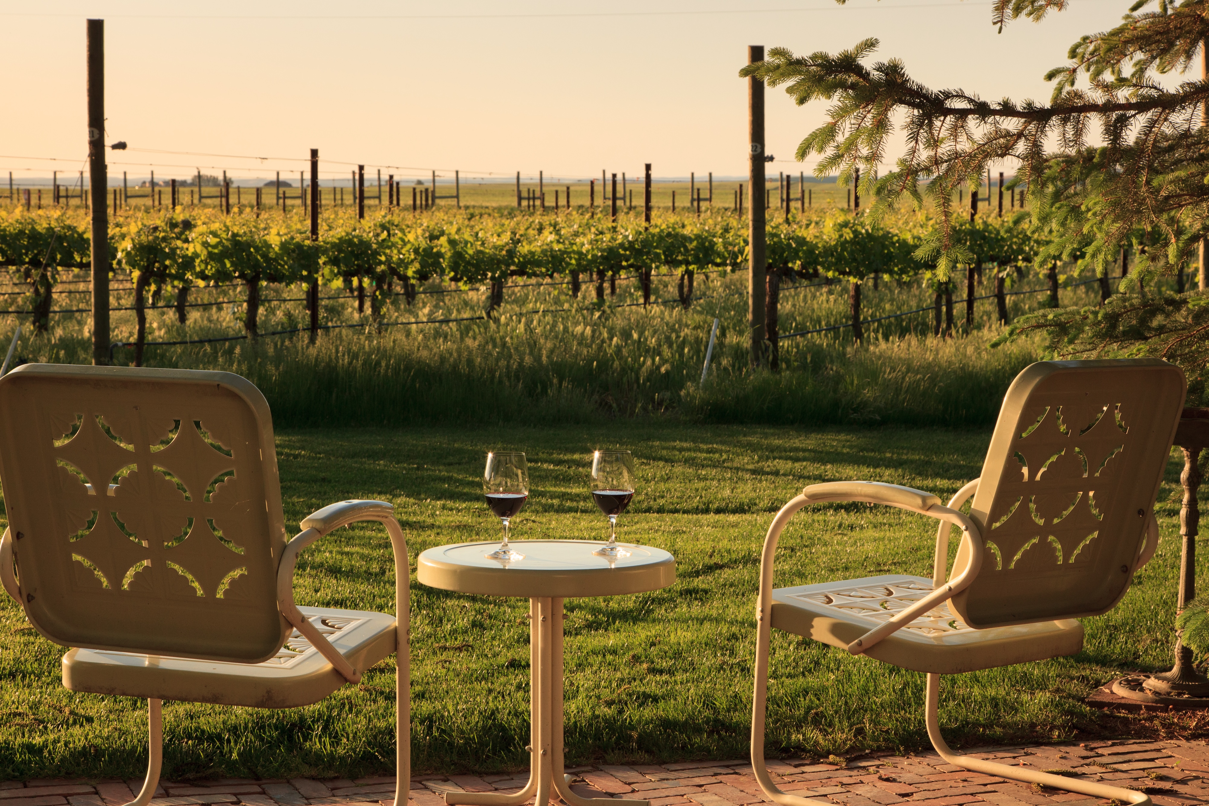 abejas-estate-vineyards-surround-guest-cottages-and-suites