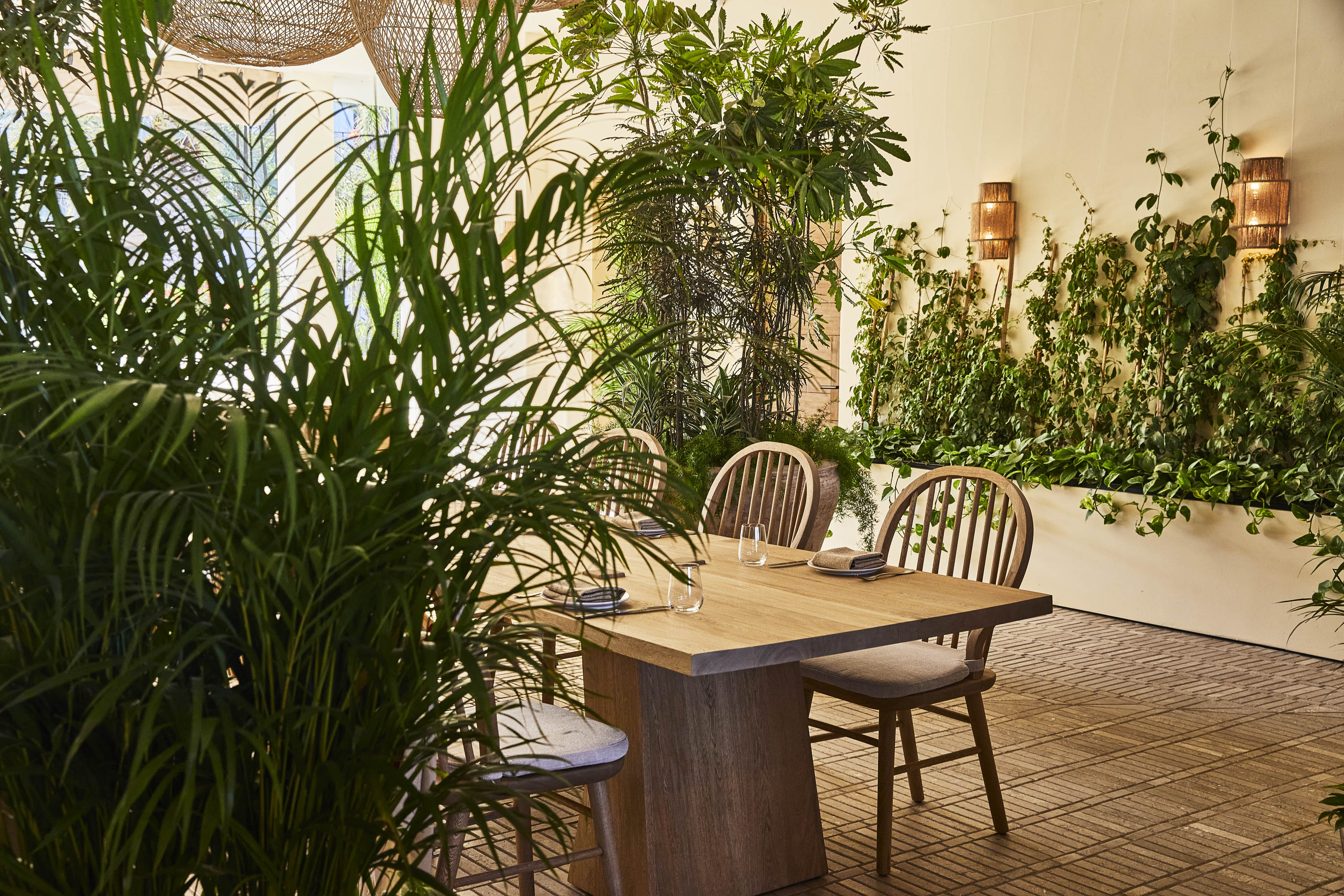 cbr_dine_yaya_lifestyle_2022_052a3006