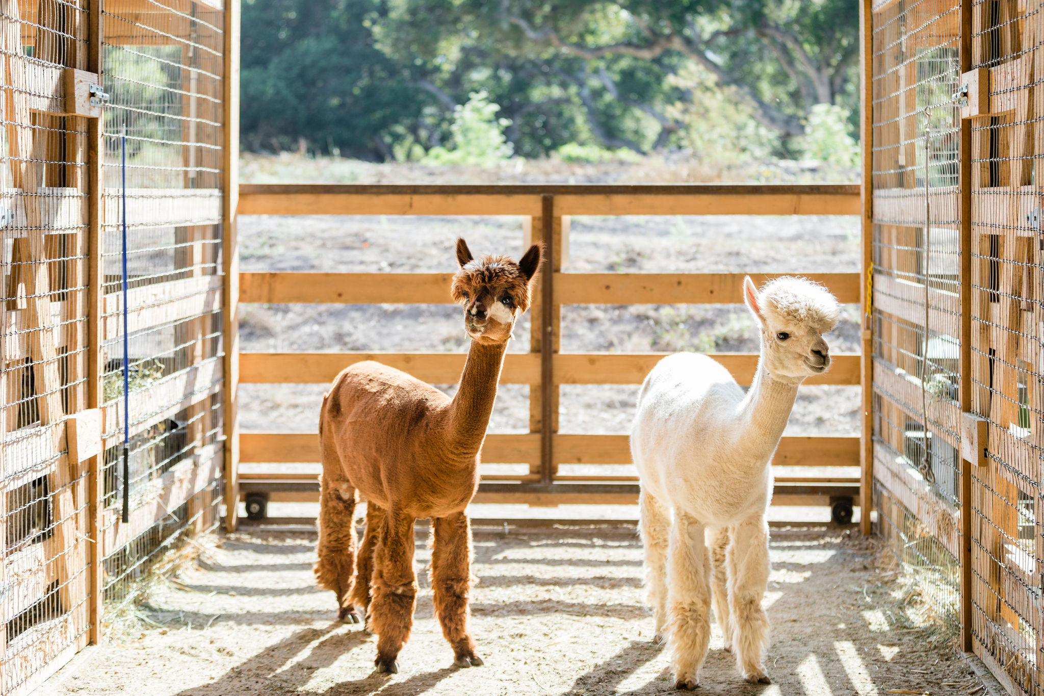 cvr_stephanie-russo_july-2021-13