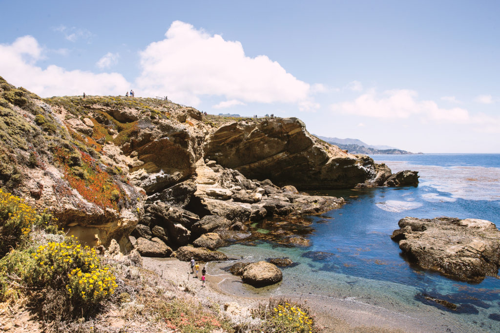 coast in Point Lobos State Reserve