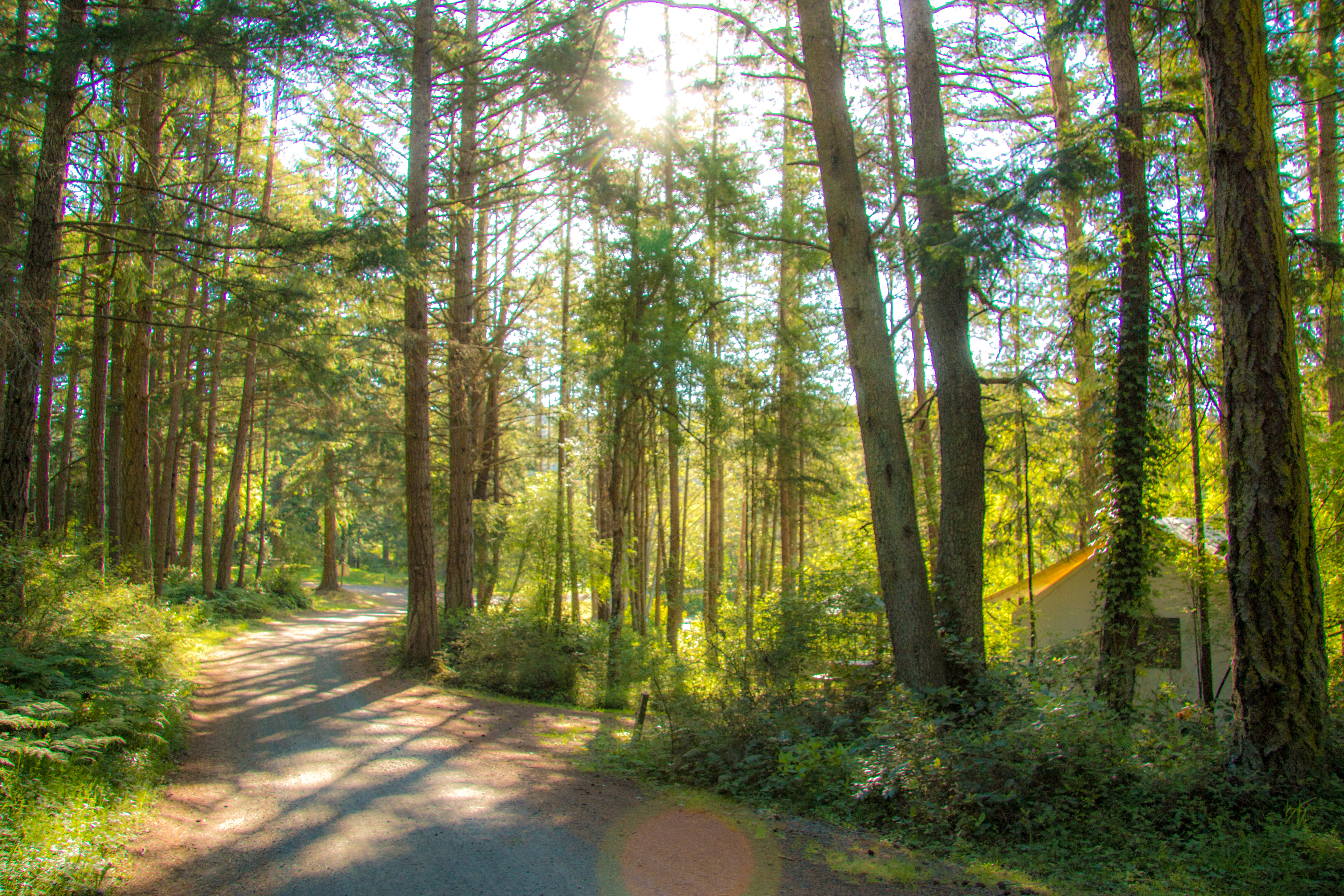 canvas-cabins-in-morning-19-small