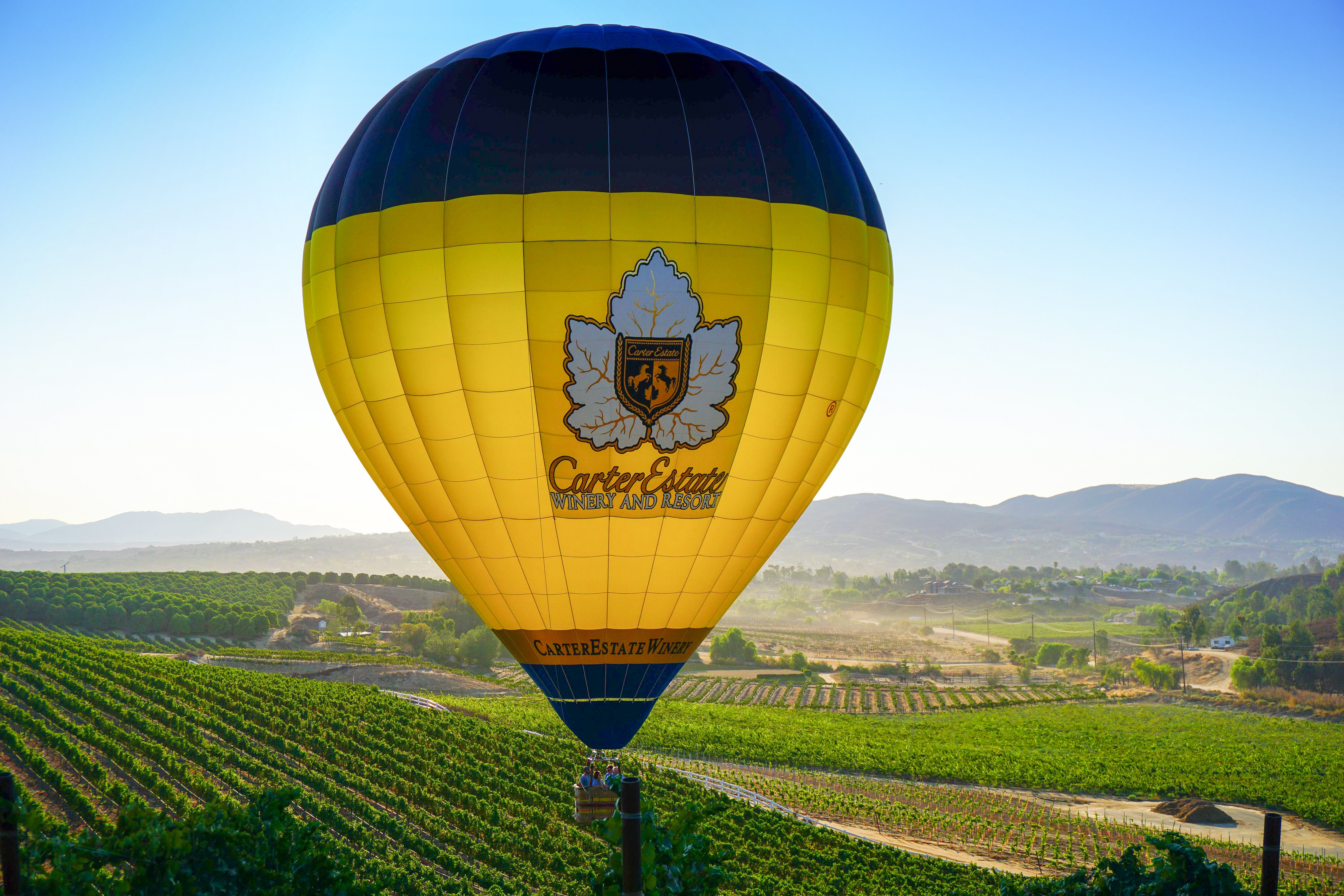 carter-estate-winery_hot-air-balloon
