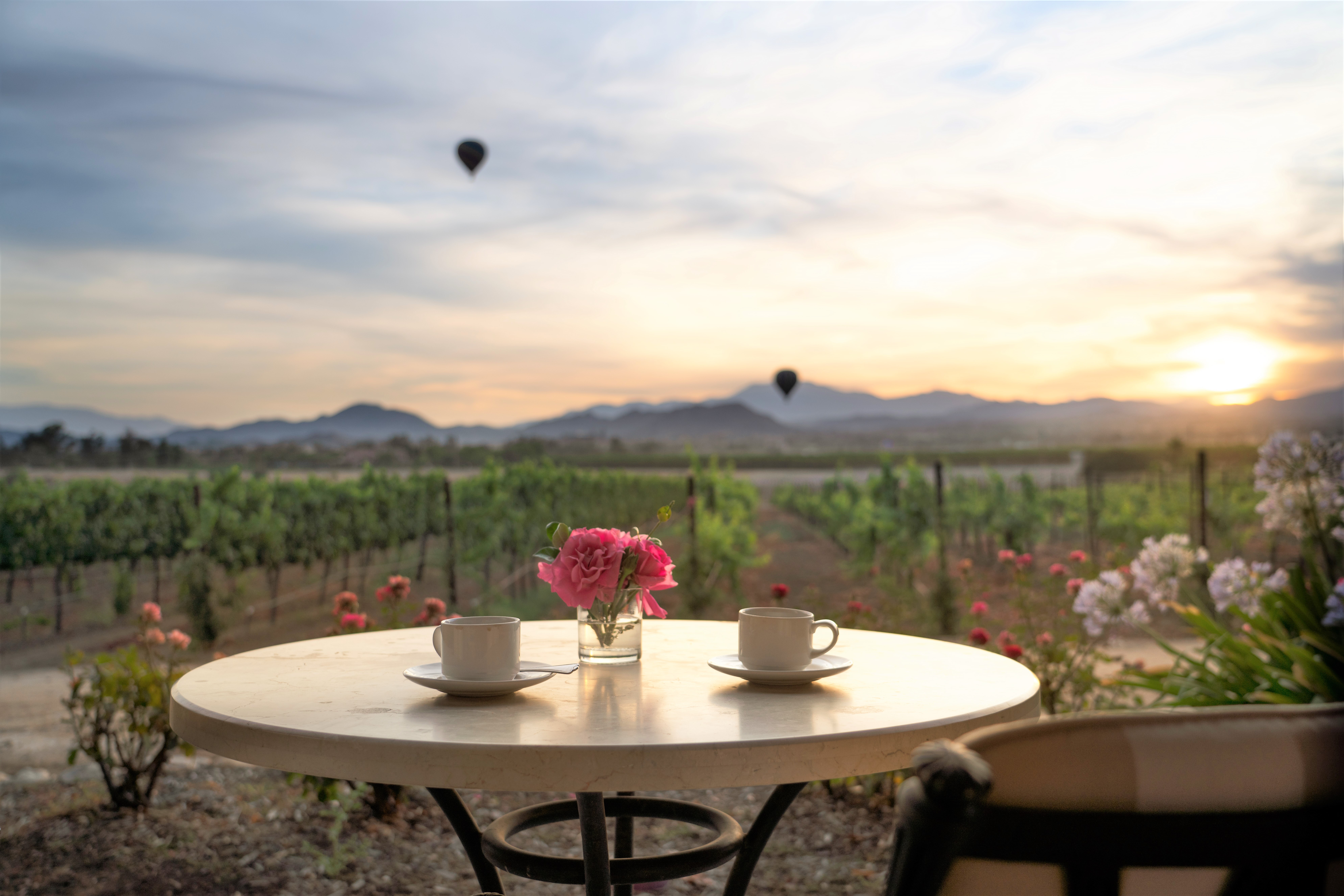 carterestatewinery_coffee-still