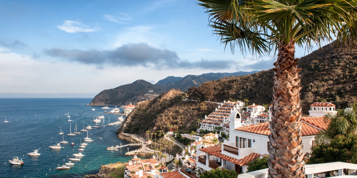 A view of homes and the water on Catalina Island.