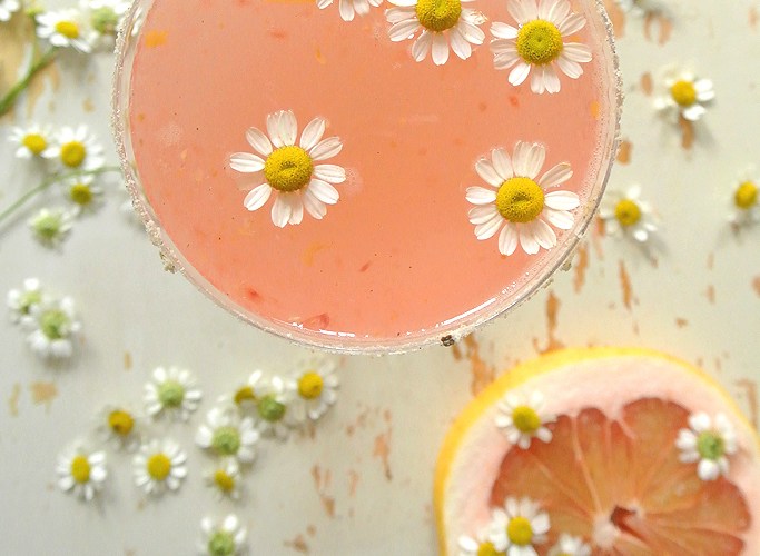 Chamomile-+-Pink-Grapefruit-Paloma copy