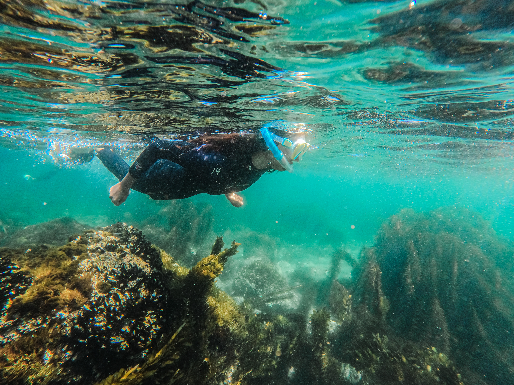 dcim100goprogopr0434-jpg