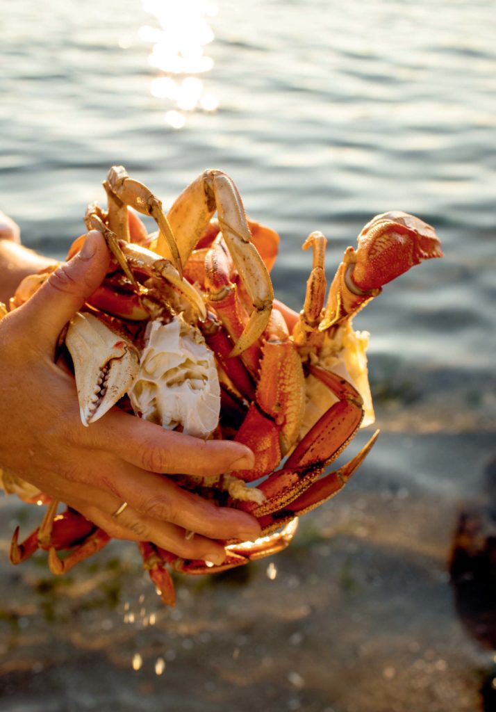 Handful of crabs