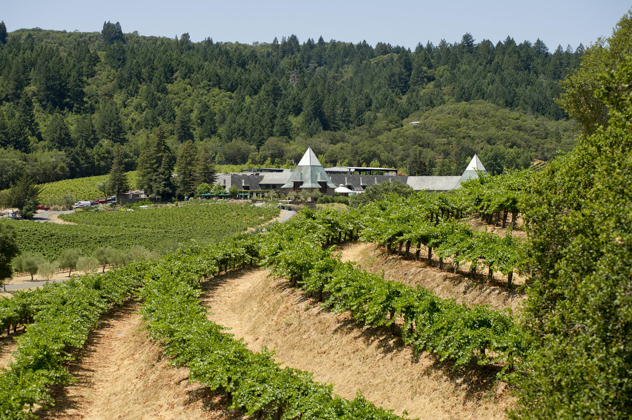 coppola-wineryexterior1-copy