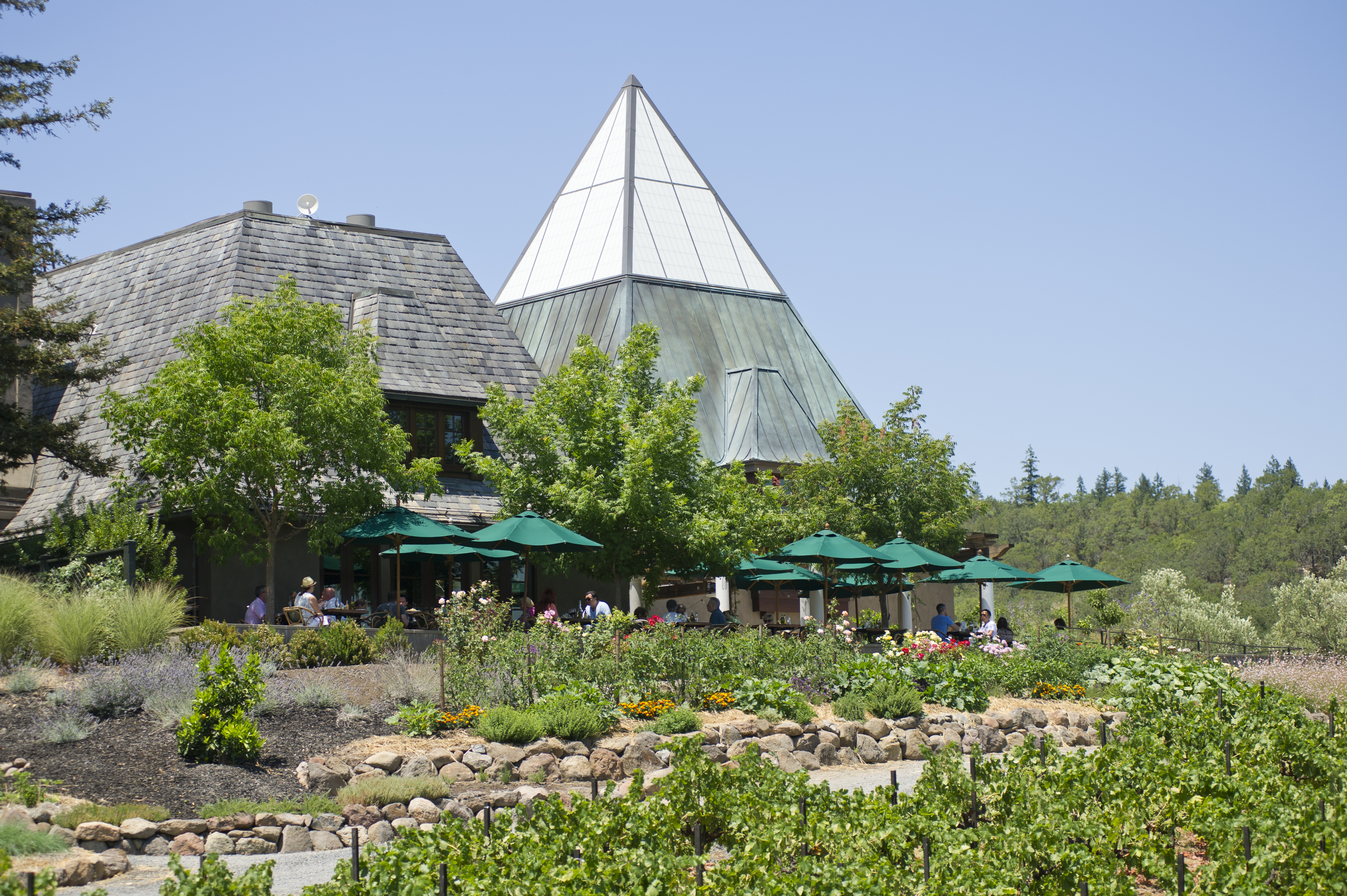 coppola-winery_rustic-exterior-copy