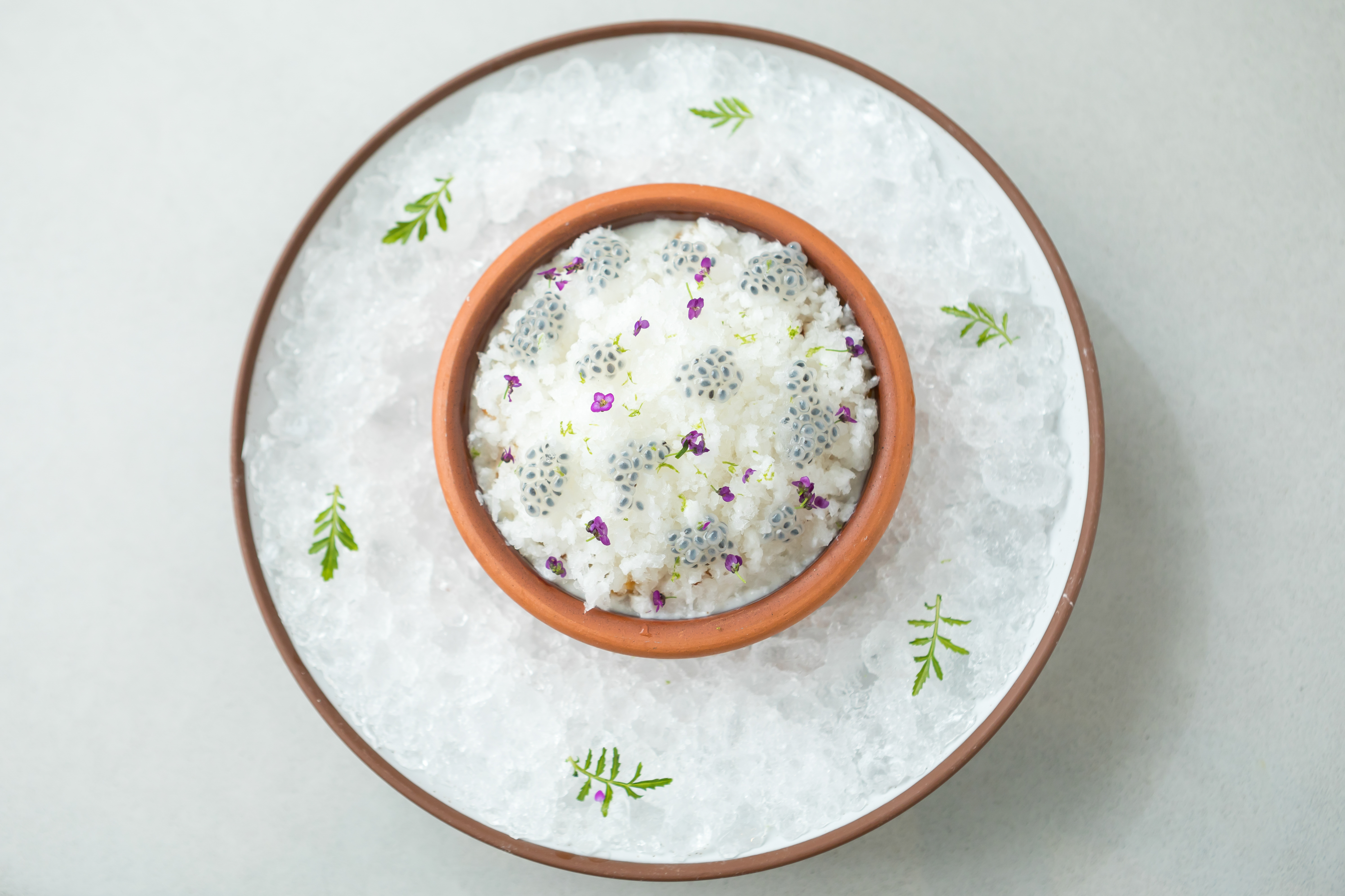 copra-_gods-own_-coconut-variation-1-cr-patricia-chang