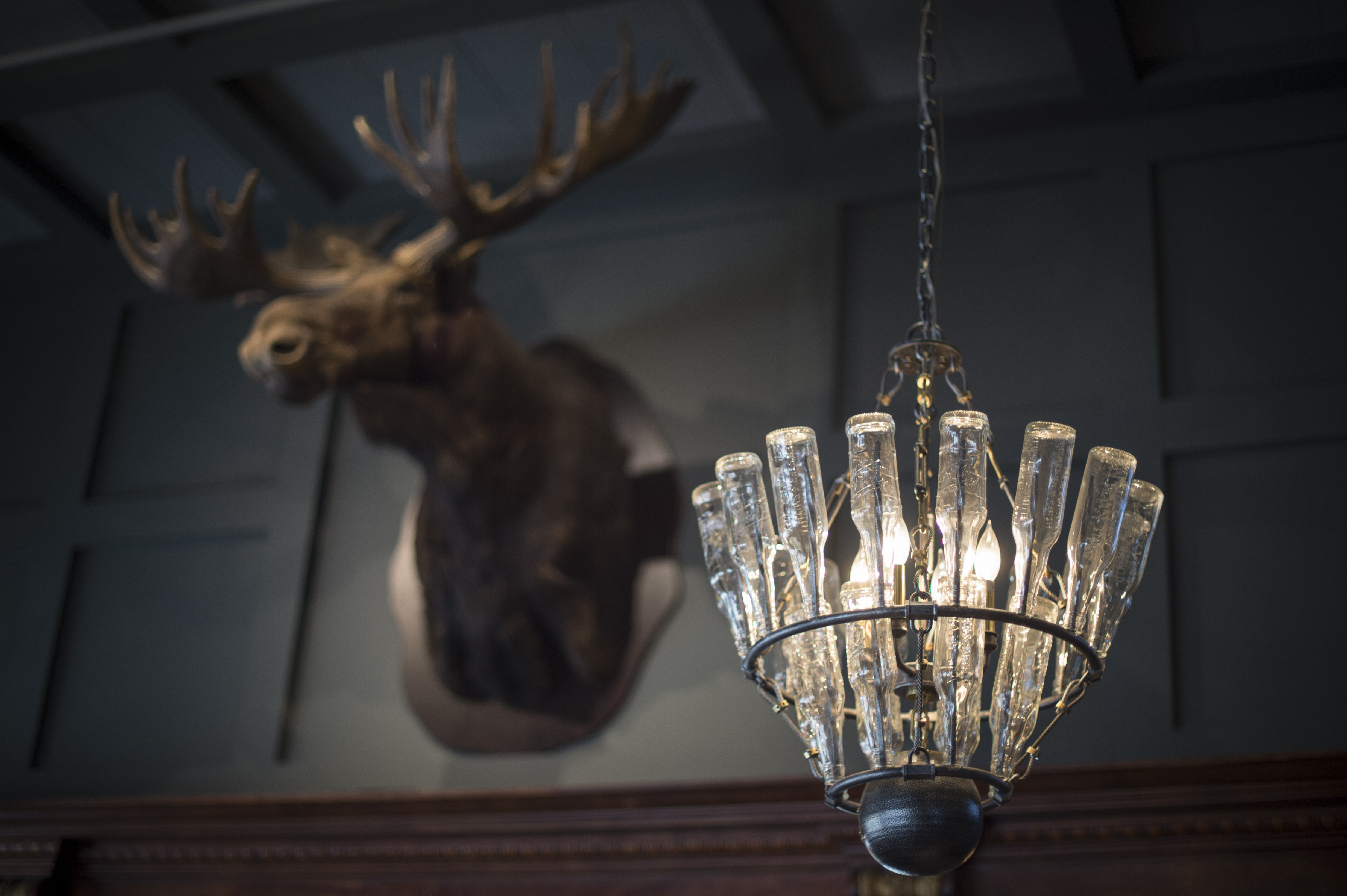 corner-bar_moose-4_tim-romano