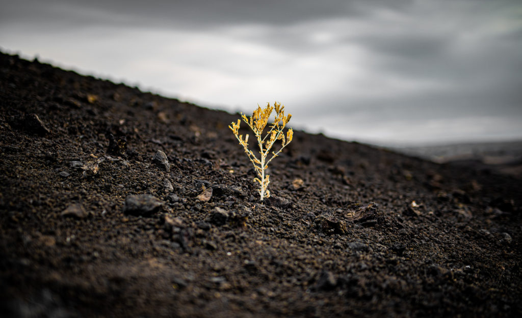 Craters of the Moon, Idaho