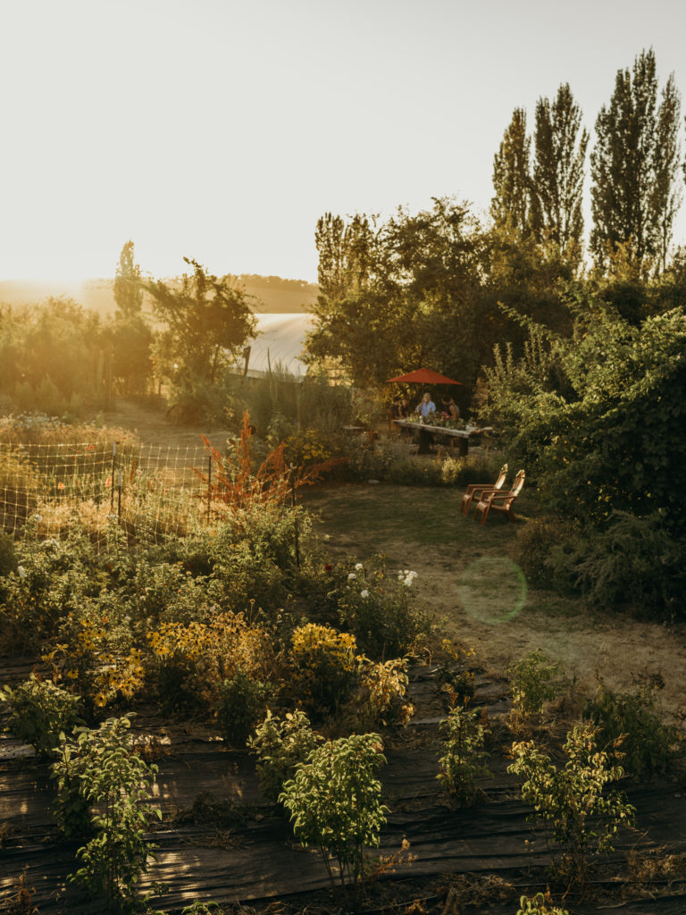 Crowley House Flower Farm