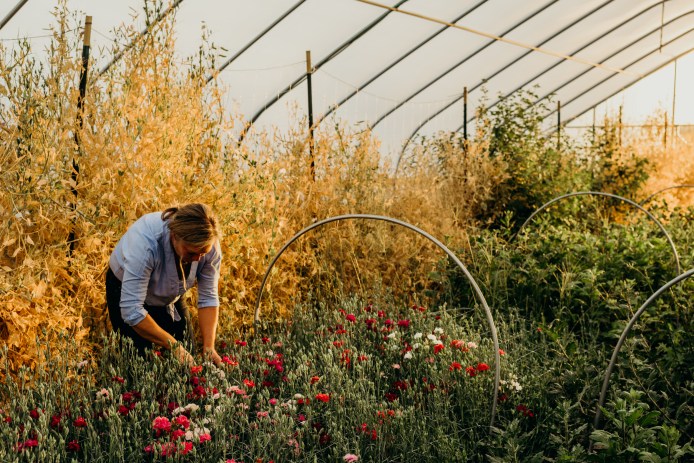 Beth Syphers harvests flowers from her farm