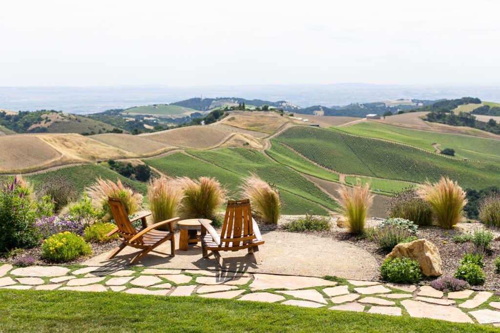 DAOU Vineyards