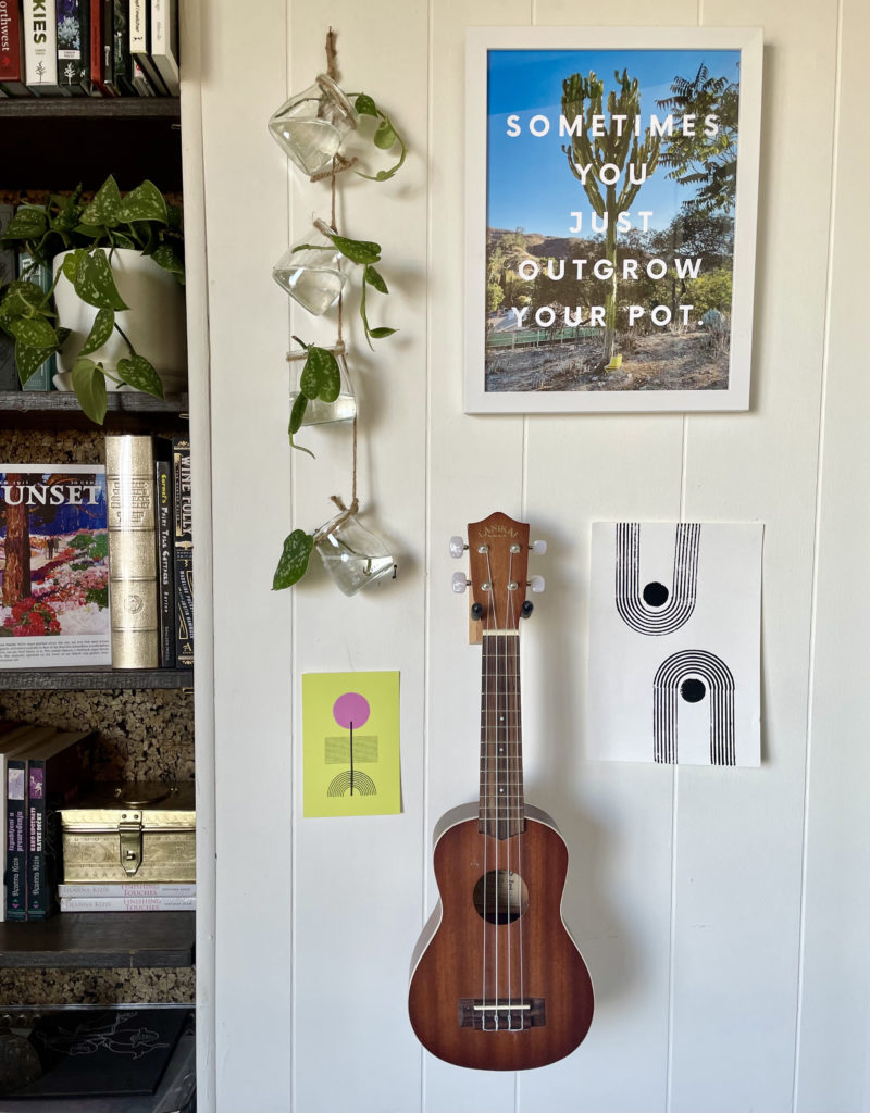 Jars hanging for plant propagator