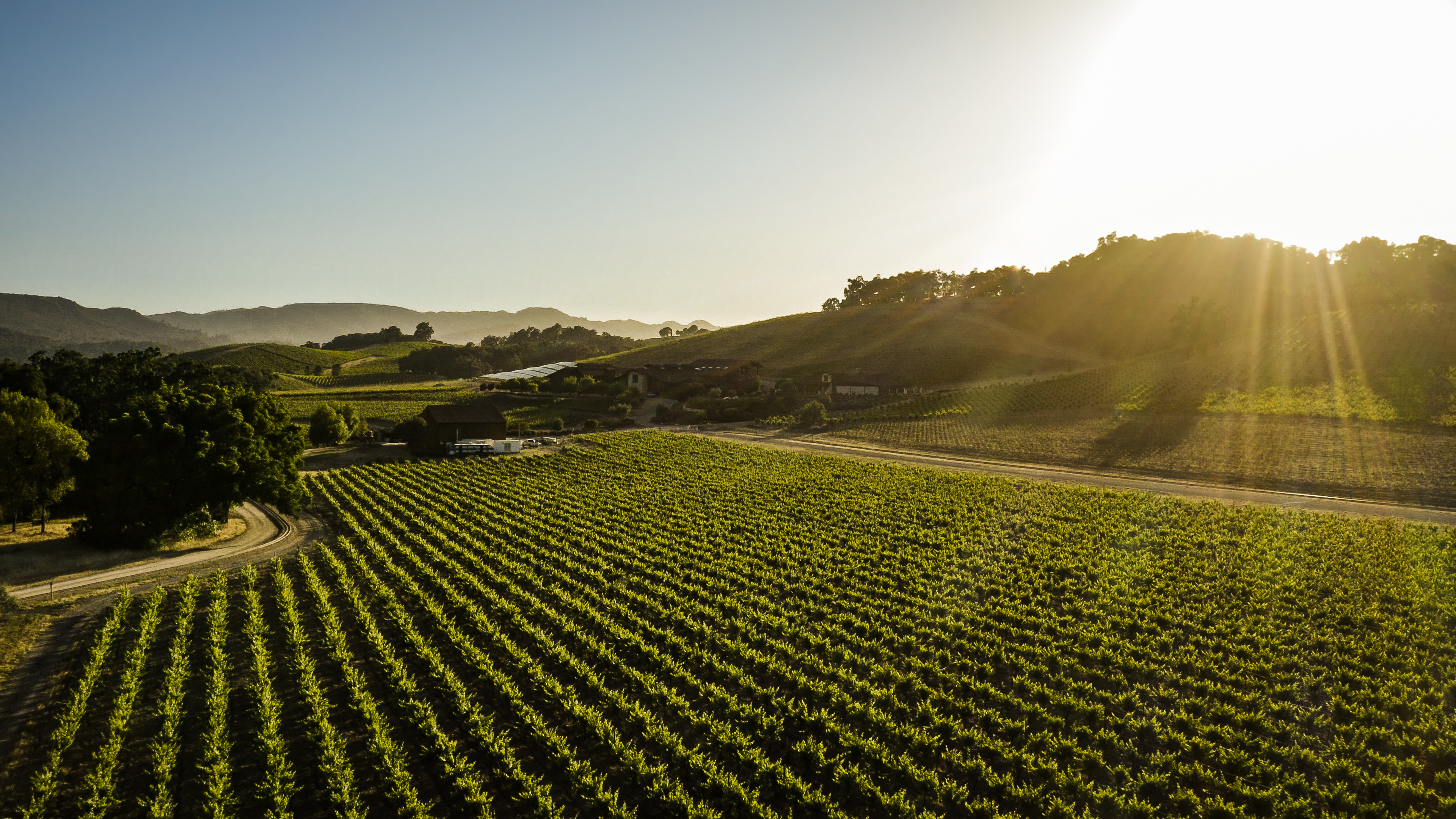 slo-cal-is-home-to-more-than-250-wineries-across-two-avas