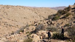 Pioneertown Mountains Preserve