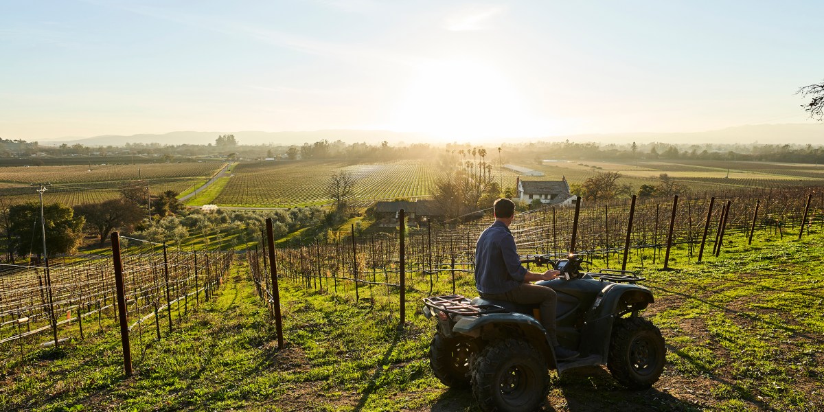 Our 2021 Wine Issue Is out—and Free for Everyone to Read