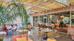 Boozehounds Palm Springs