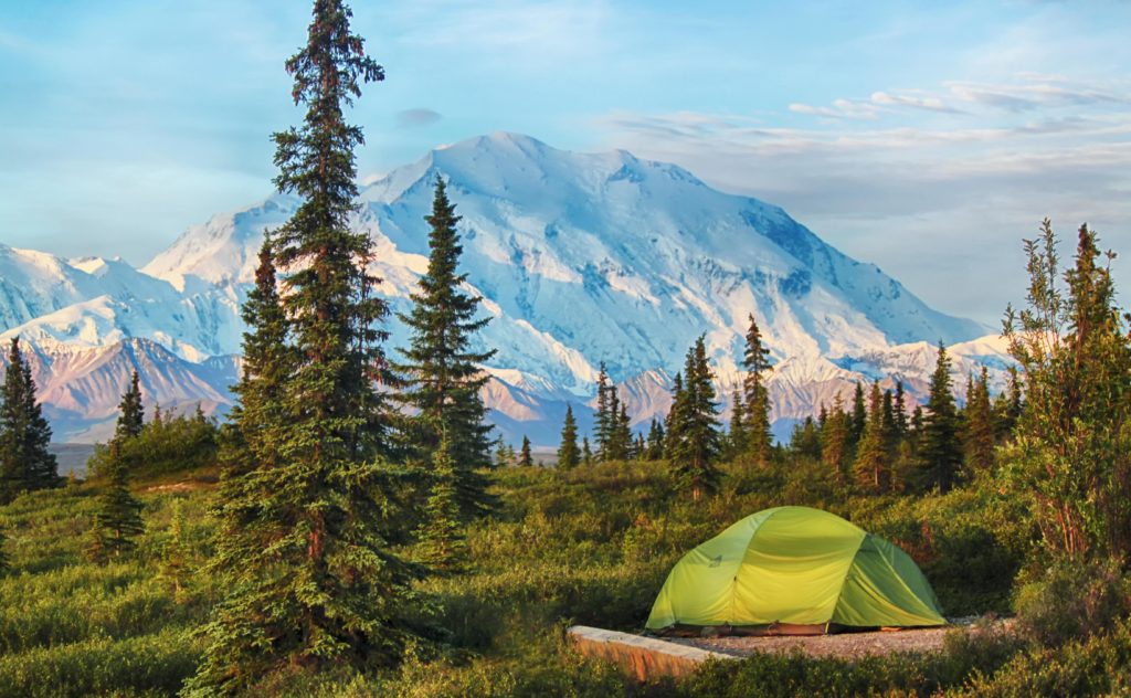 Denali National Park