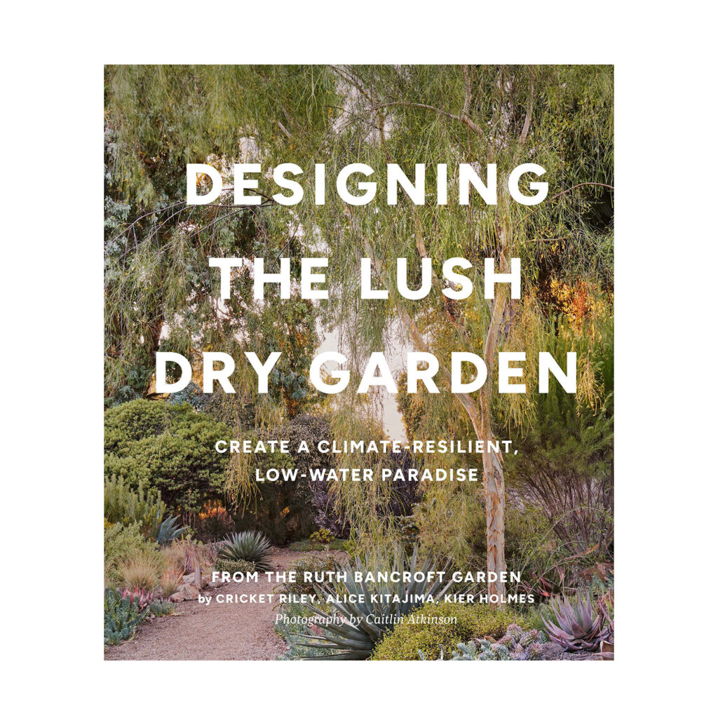 Designing the Lush Dry Garden Cover