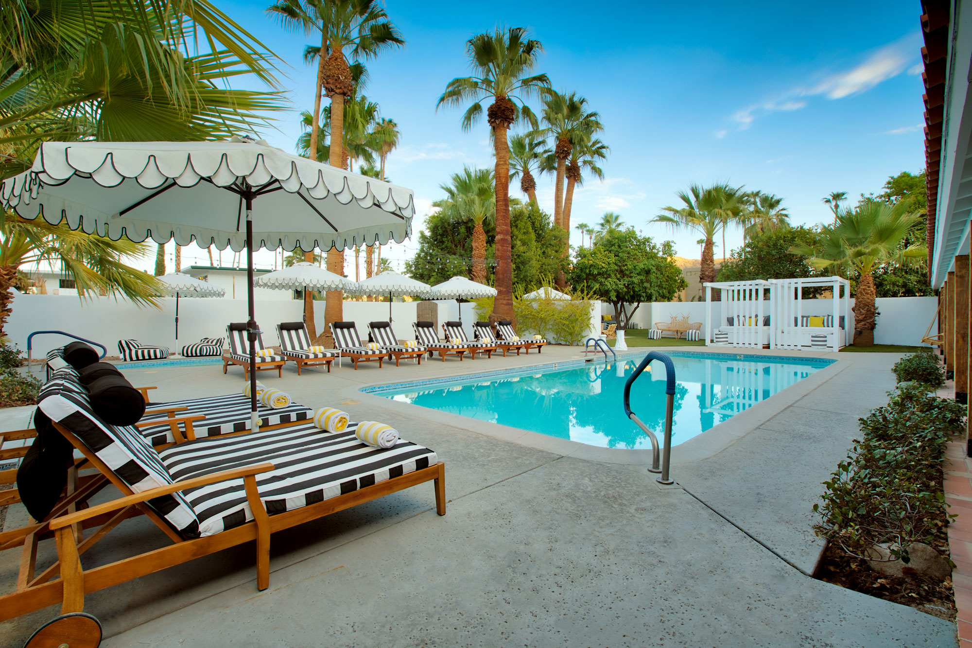 dive-palm-springs-pool-shot-lounge-from-them