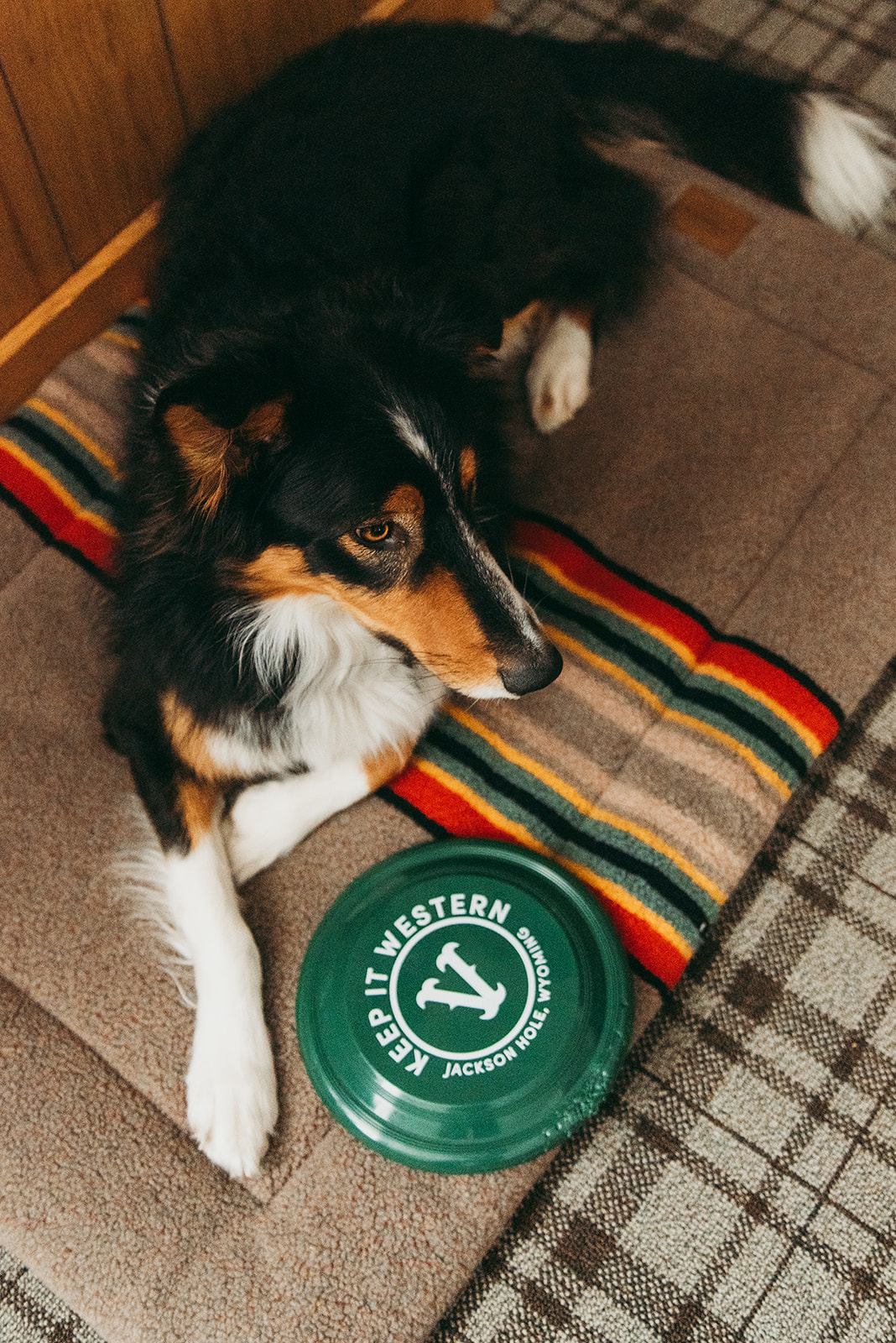 the-virginian-lodge-wy