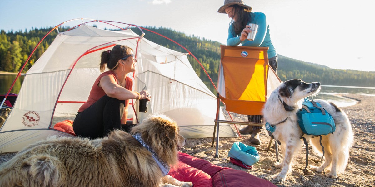 Lifestyle image dog bed