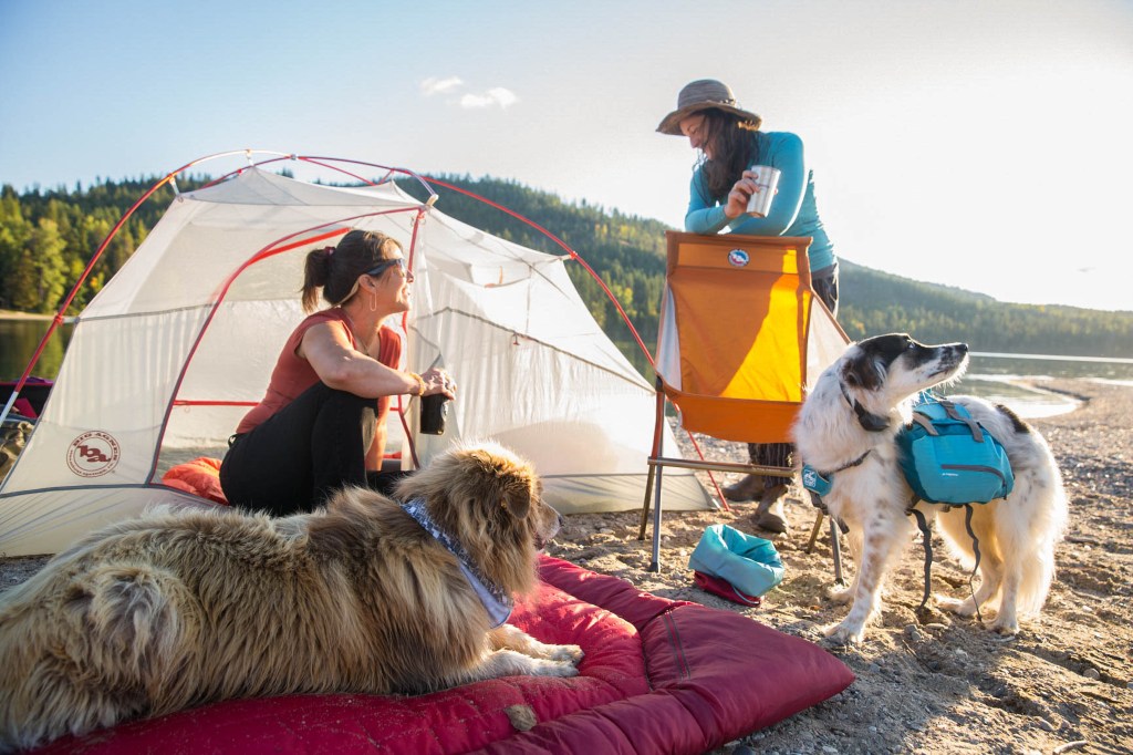 All the Gear You Need for Your Dog's Best Camping Trip Ever