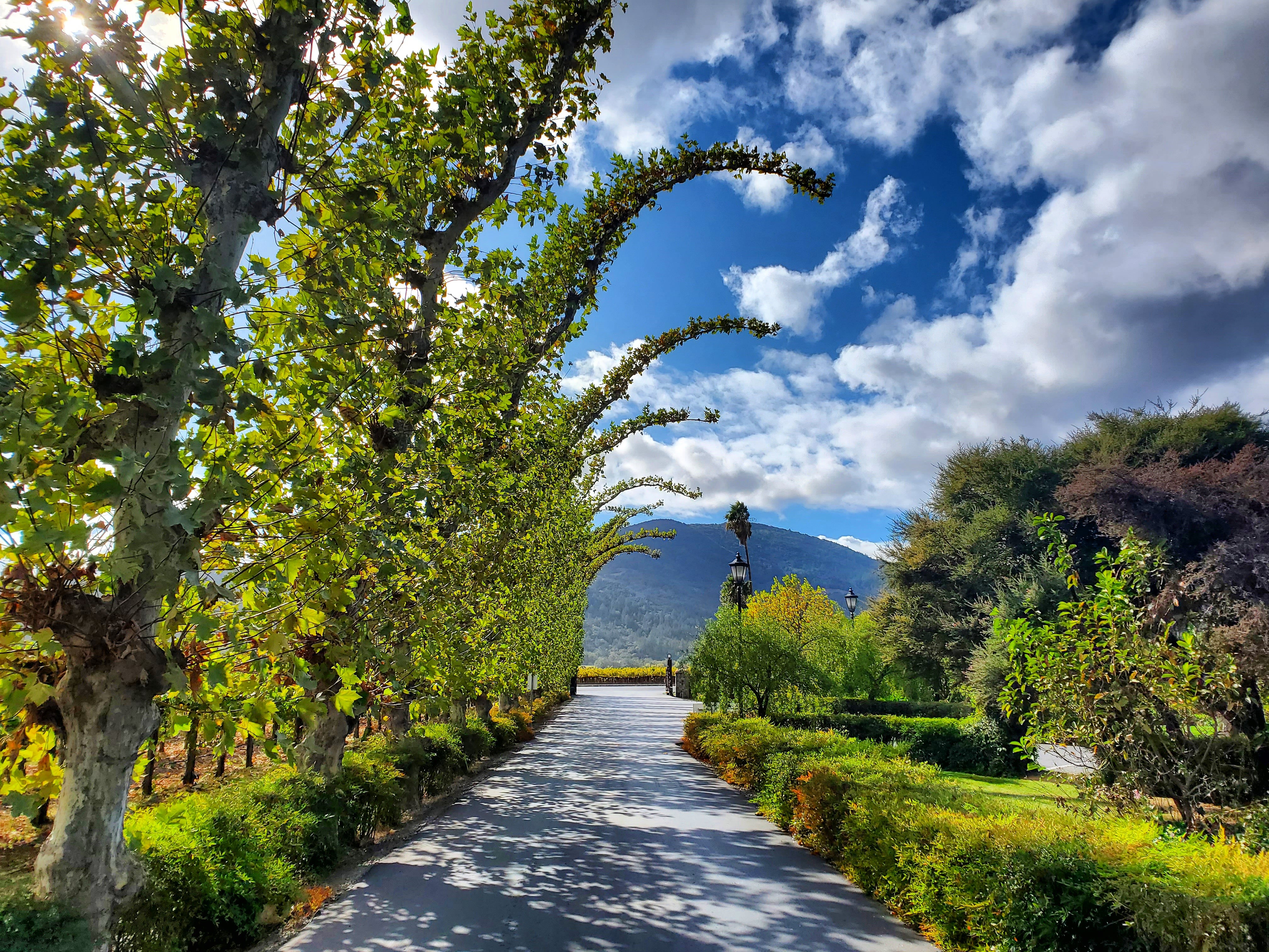 driveway-1